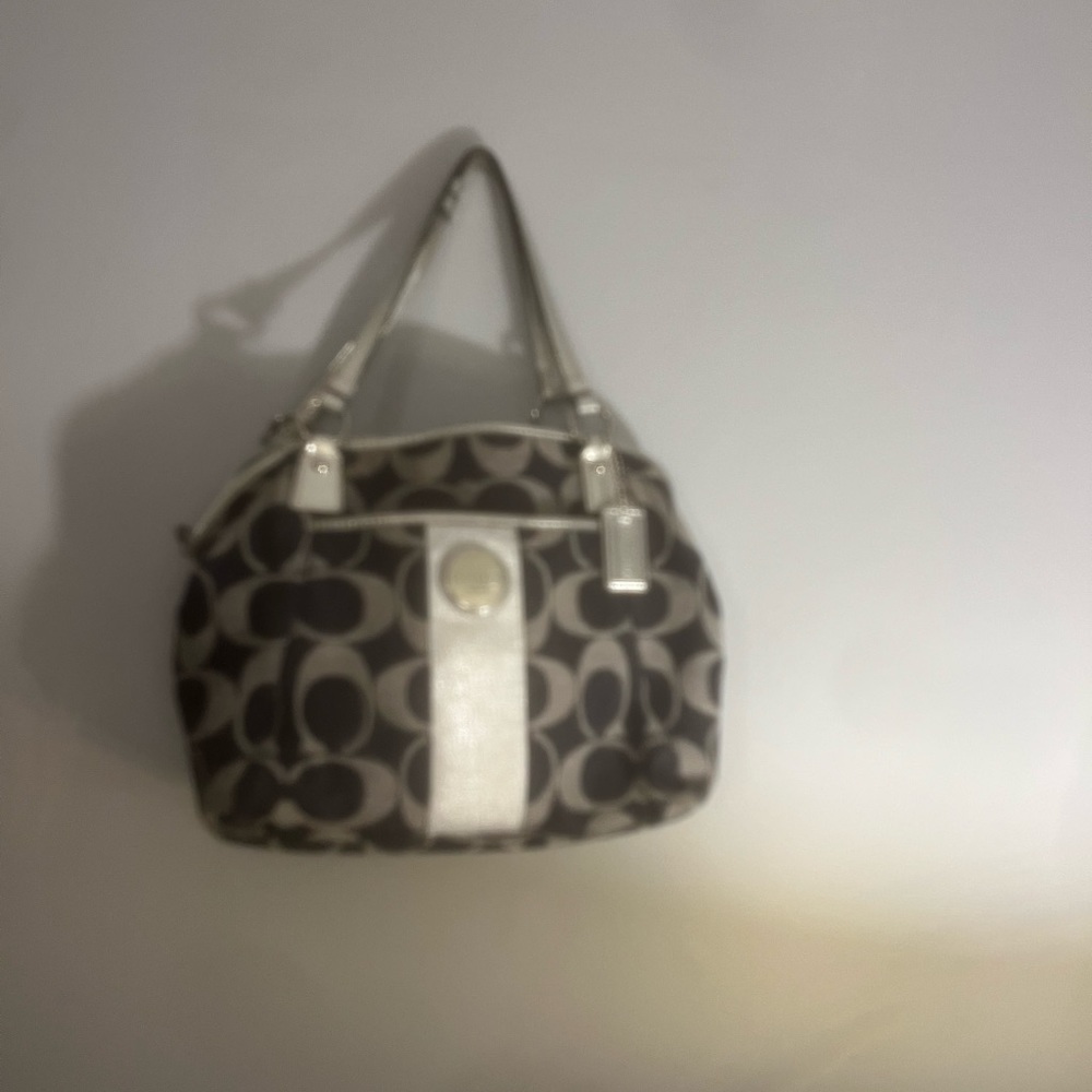 Coach Bag with Sliver Accents